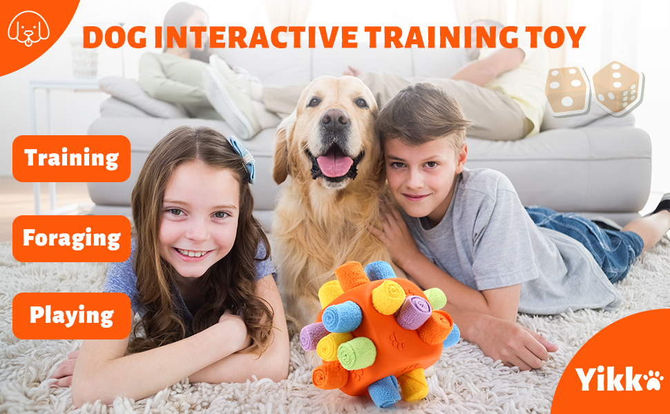 Yikko Interactive Snuffle Ball