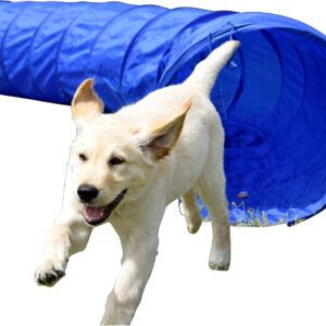 dobar® 50809 Agility Tunnel Size L - Agility Tunnel for Dogs - 3 m Tunnel for Training - Skill Training with Plastic Tunnel - Diameter 50 cm - Length 300 cm - Blue