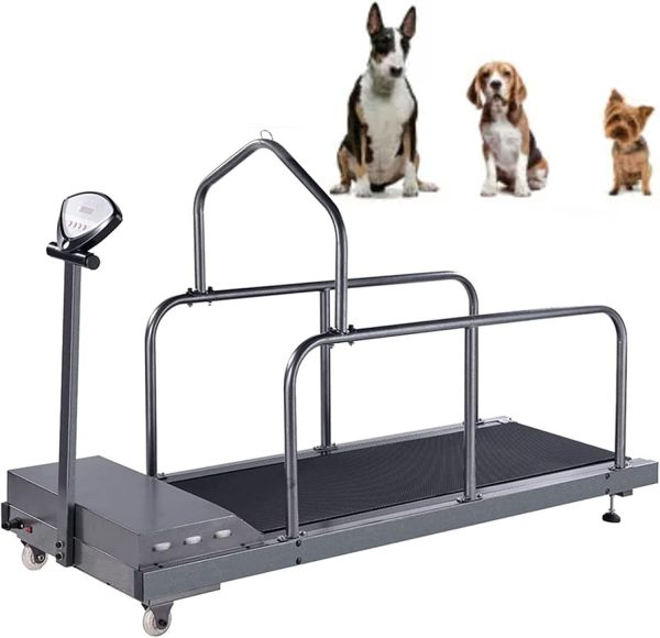 lwjunmm Dog Treadmill for Large/Medium Dogs, Adjustable Ramp Canine Running Slatmill Machine with Pedometer for Exercise & Healthy & Fit Pet Life, Used Indoor Home Up to 200KG