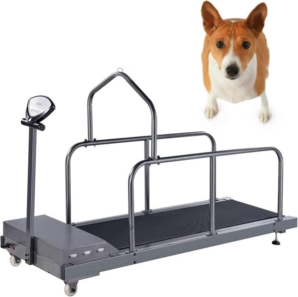 lwjunmm Dog Treadmill for Medium Dogs, Dog Running Machine Exercise Equipment for Large Dog Indoor Home