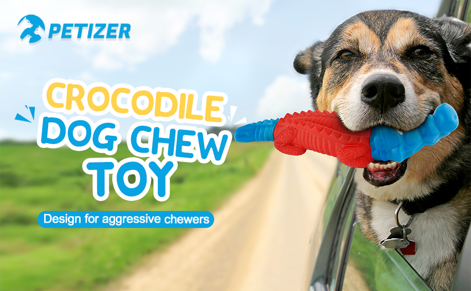 dog chew toy