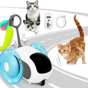 xinrongda Interactive Cat Toys for Indoor Cats, Remote Control Cat Toy, Automatic Cat Toy, Turbo Tail 2.0 Cat Toy, USB Rechargeable, Intelligent Electric Mouse Pet Toy Gifts for Cats(Blue)