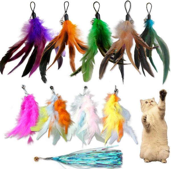 10 PCS Cat Feather Replacement Feather Cat Toys,Feather Toys for Indoor Cats,Cat Wand Attachments Feather cat Toy