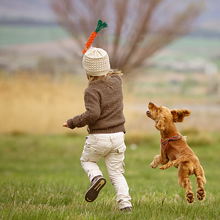 Dog Rope Toys