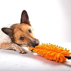 orange dog toy, bungee chaser