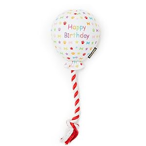 Dog birthday balloon toy