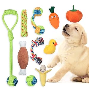 best dog toys for puppies labrador puppy toys puppy dog toy puppy toy small dog nylebone dog toys