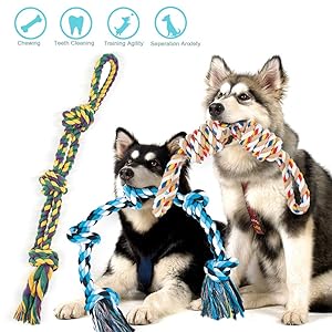 best dog toys for puppies labrador puppy toys puppy dog toy puppy toy small dog nylebone dog toys