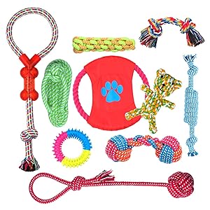 best dog toys for puppies labrador puppy toys puppy dog toy puppy toy small dog nylebone dog toys