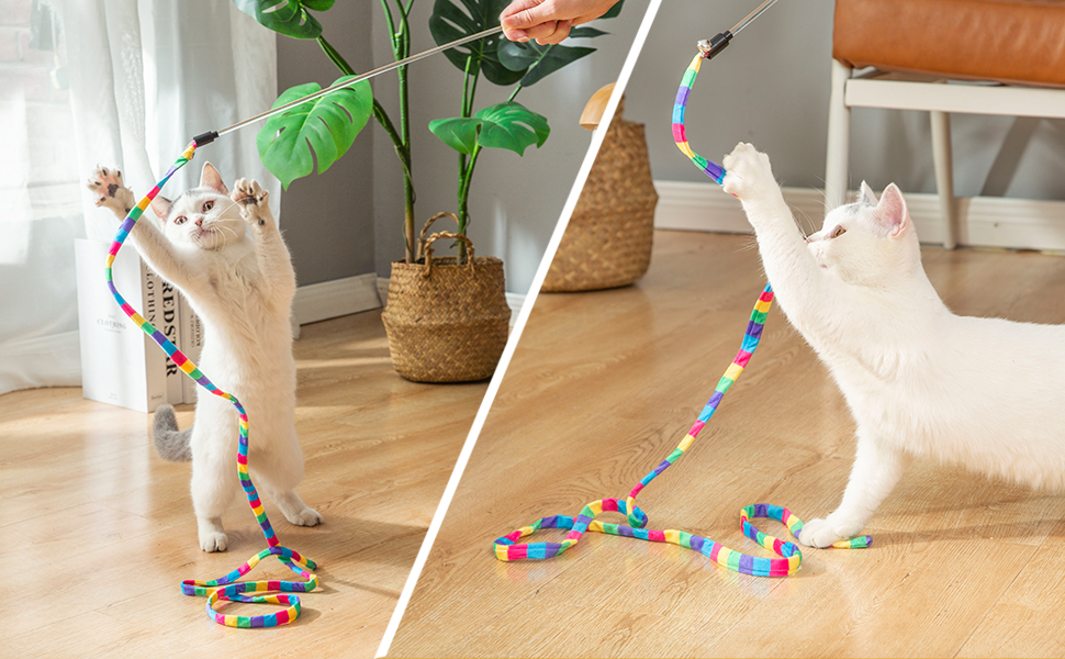 cat toys