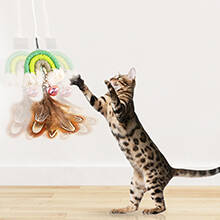 hanging cat feather toy