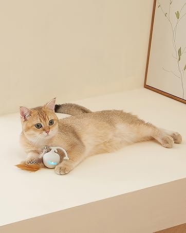 automatic cat toy