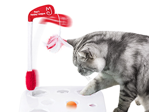 cat toys,cat toys for indoor cats best sellers，automatic cat toyinteractive cat toys for indoor cats