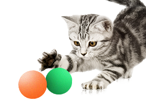 cat toys,cat toys for indoor cats best sellers，automatic cat toyinteractive cat toys for indoor cats