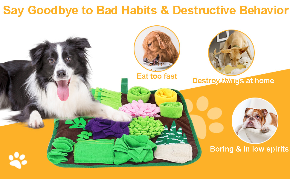 puppy training  treat mat