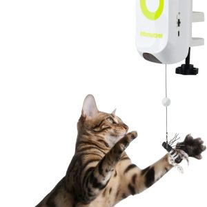 ALL FOR PAWS Self-Play Interactive Cat Toys Automatic Cat Wand Teaser Toy Motion Activated Electric Cat Mice Toys for Hunting Exercising Eliminating Boredom (Cat Yoyo Bug)