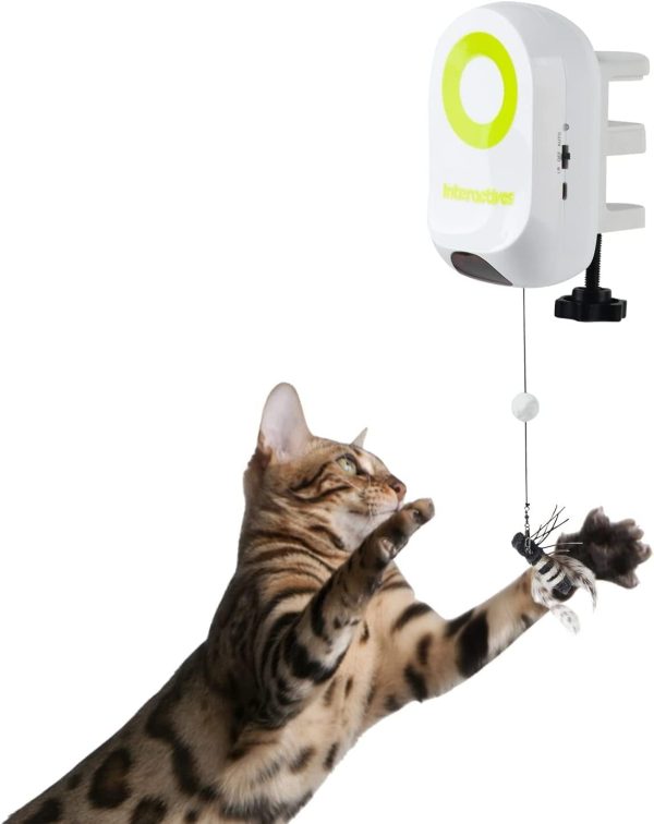 ALL FOR PAWS Self-Play Interactive Cat Toys Automatic Cat Wand Teaser Toy Motion Activated Electric Cat Mice Toys for Hunting Exercising Eliminating Boredom (Cat Yoyo Bug)