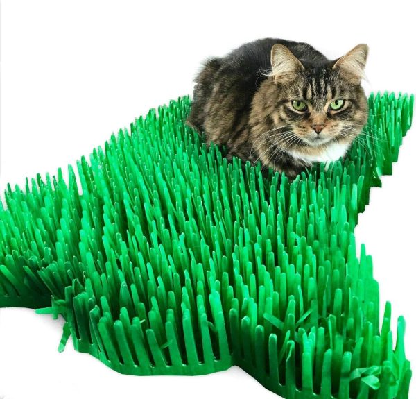 CATMAT. Tissue Paper Cat Mat. Green paper imitation grass play mat - fun for Indoor Cats and Kittens (pack of two)