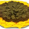 KUANDARYJ Fashion Pet Snuffle Mat, Dog Feeding Mat Dog Training Pad Pet Nose Work Blanket Non Slip Pet Activity Mat for Foraging Skill, Stress Release Comfortable