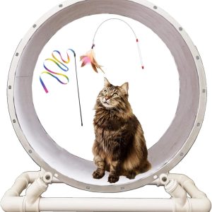 Large Cat Wheel Exercise Treadmill With Cat Wand, Heavy Duty Cat Treadmill Wheel Running With Acrylic Wheels, Indoor Quiet Cat Ferris Toys,M-Diameter 90cm(35 3/8