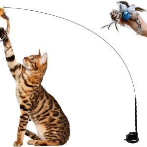 Leo's Paw Interactive Bird Simulation Cat Toy Set Realistic Colorful Feathers Bells on Wand Self-Holding Suction Base Stimulating Real-Life Flying Bird Impression Hunting Exercise Play (w. 5 Birds)