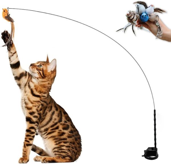 Leo's Paw Interactive Bird Simulation Cat Toy Set Realistic Colorful Feathers Bells on Wand Self-Holding Suction Base Stimulating Real-Life Flying Bird Impression Hunting Exercise Play (w. 5 Birds)