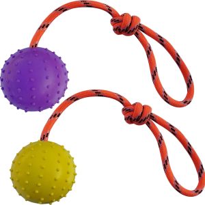 MMSGA 2 Pcs Ball on Rope Dog Toy，Hollow Rubber Ball on rope dog training，for Fetch, Catch, Throw and Tug of War，Not Suitable for Strong Chewing Power Dog (S, Purple+Yellow)