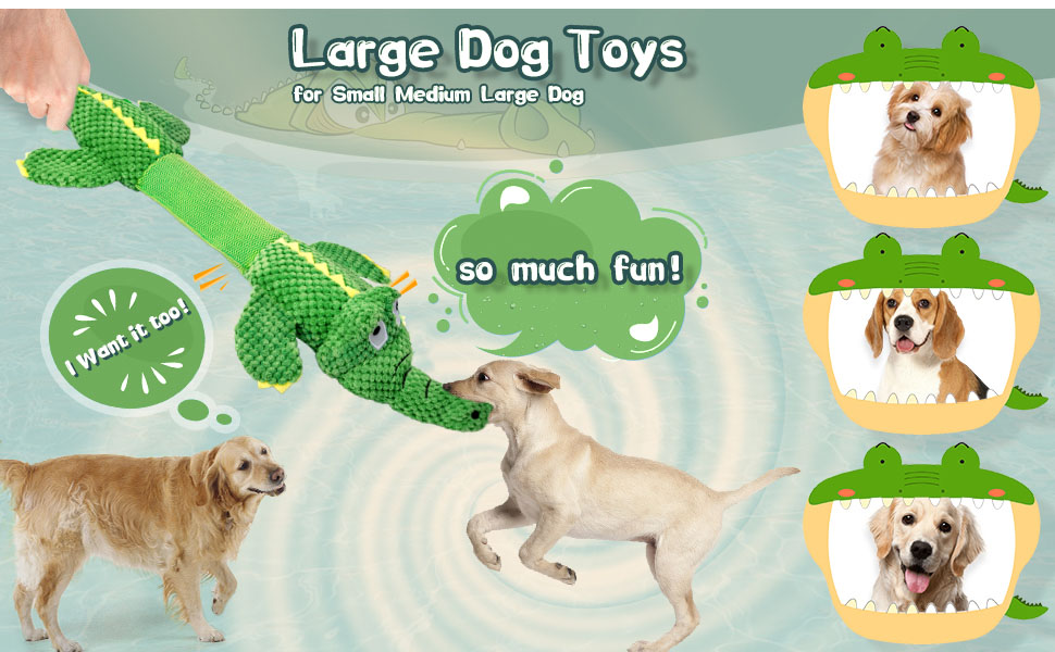 dog toy