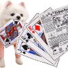 Speedy Panther Squeaky Dog Toys for Small Medium Dogs, Tough Dog Newspaper Toys with Crinkle Sound, Playing Cards JQK Puppy Tug Toys