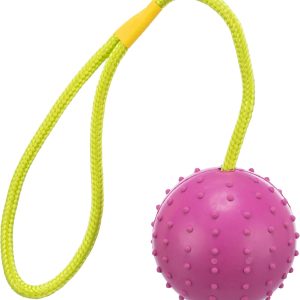 Trixie ball on rope, natural rubber, ø 7/30 cm, pink/lime, dog toy, fetch, tug-of-war