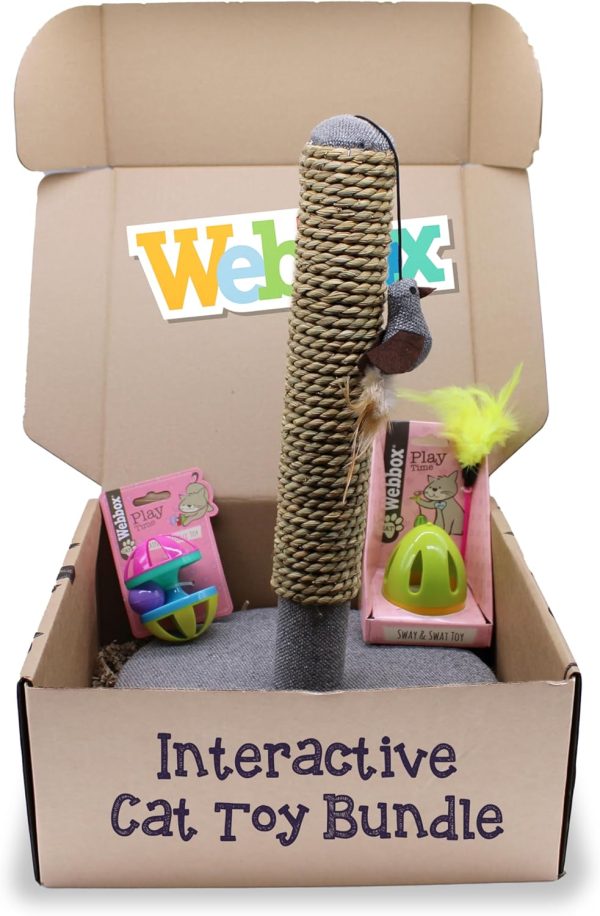 Webbox Interactive Cat Toy Bundle Box (3 Pack) - Feather Wand, Jingle Ball & Scratch Post for Indoor Adult Cats & Kittens